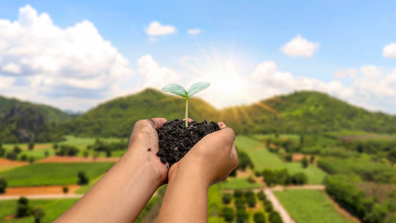 10 Sustainable Living Choices To Celebrate Earth Day 2024