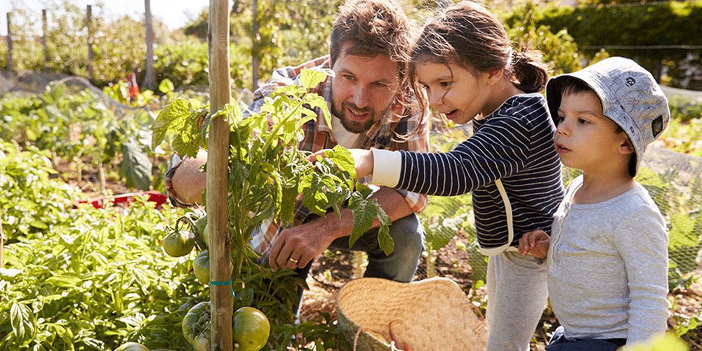 Growing Green: The Ultimate Guide to Eco-Friendly Parenting